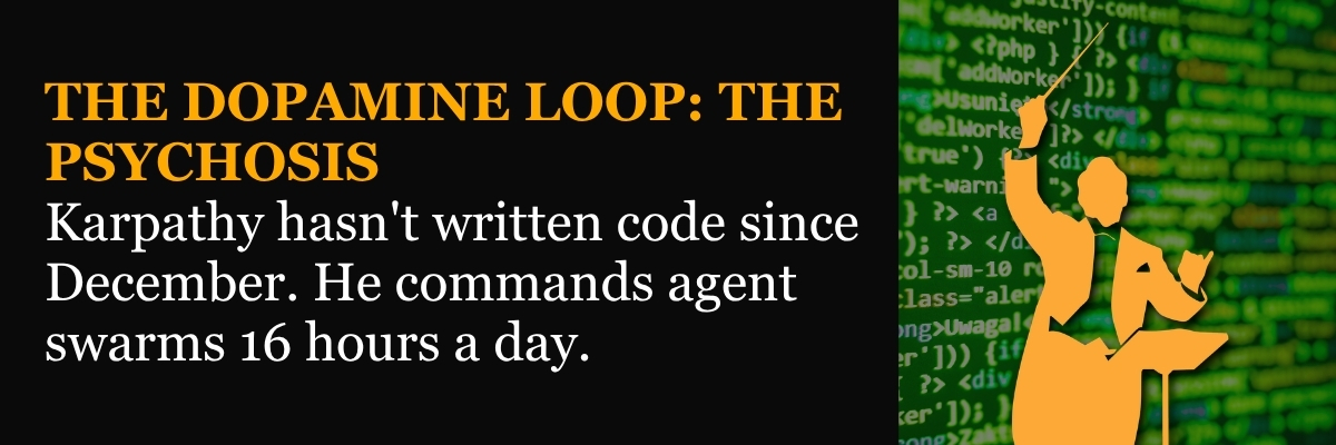 The Dopamine Loop: The Psychosis